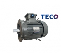 Motor Teco AESU IE1
