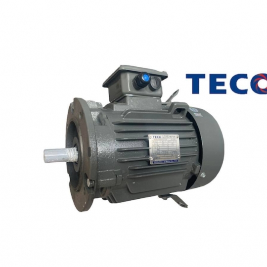 Motor Teco AESU IE1
